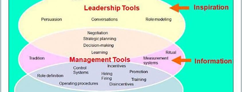 the-three-key-ingredients-of-leadership-you-need-passwell-shapi